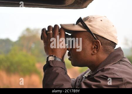 Un guide safari en Afrique à la recherche de la faune. Banque D'Images