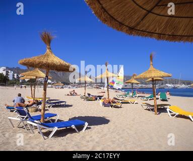 Vue sur la plage, Puerto Pollensa (Port de Pollenca), Municipalité de Pollenca, Majorque, Iles Baléares, Espagne Banque D'Images