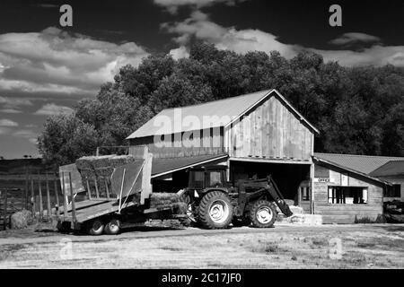 Ferme près de Ronan, région de Missoula, Montana, États-Unis Banque D'Images