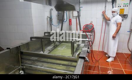 Zuleta, Imbabura / Equateur - novembre 9 2018: Ouvriers compatant le lactosérum dans un réservoir à l'intérieur d'une usine de fromage. Procédé de fabrication du fromage Banque D'Images