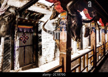 Des crânes d'animaux sinistres bordent le couloir qui mène aux chapelles du protecteur du monastère de Tsurphu, Tibet Banque D'Images