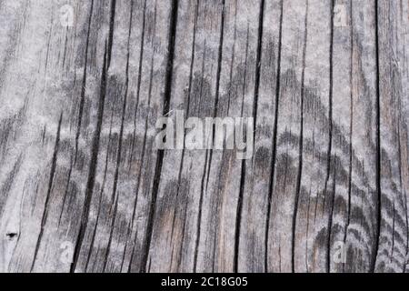 Texture en bois haute résolution branche de lignes gris brun noir blanc Banque D'Images