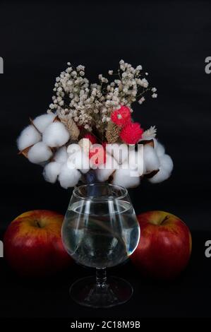 un verre d'eau deux pommes et un bouquet de fleurs blanches et de coton sur fond noir Banque D'Images