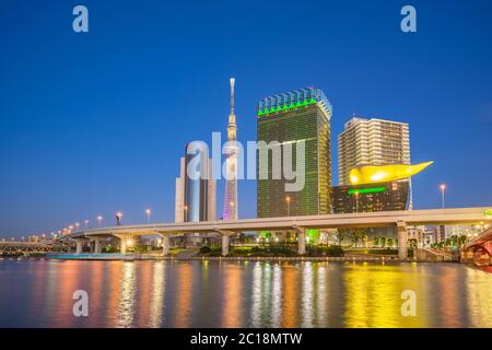 Tokyo, vue panoramique de nuit sur la ville, au Japon, sur la rivière Sumida Banque D'Images