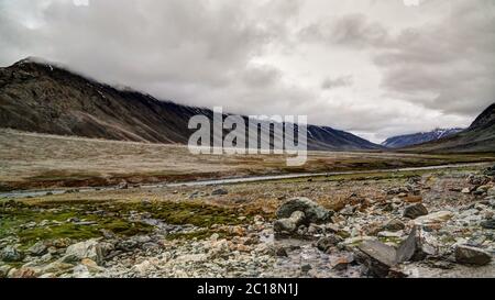 Panorama de la vallée de Yasin, province de Gilgit-Baltistan Pakistan Banque D'Images