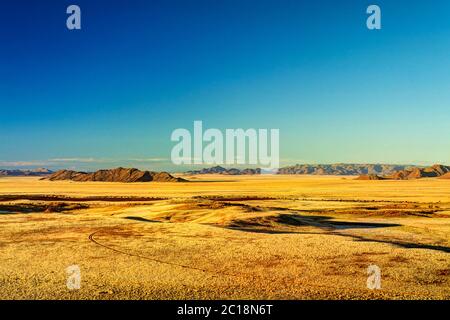 Dunes pétrifiées au coucher du soleil dans le désert du Namib, en Namibie Banque D'Images