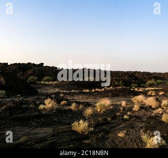 Champs de lave autour du volcan Erta Ale, Danakil, Afar Ethiopie Banque D'Images