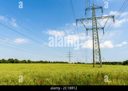 Lignes électriques sur un pré vert avec des coquelicots, Weinheim, Bade-Wurtemberg, Allemagne Banque D'Images