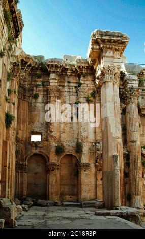 Ruines du temple de Bacchus à Baalbek, vallée de la Bekaa, au Liban Banque D'Images