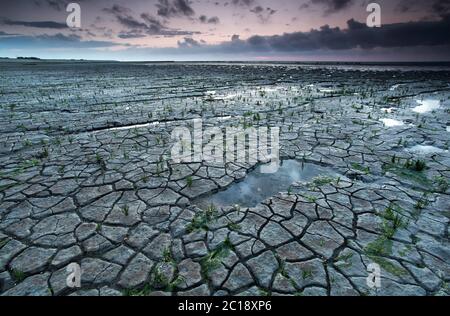 Côte de mer des Wadden à marée basse Banque D'Images