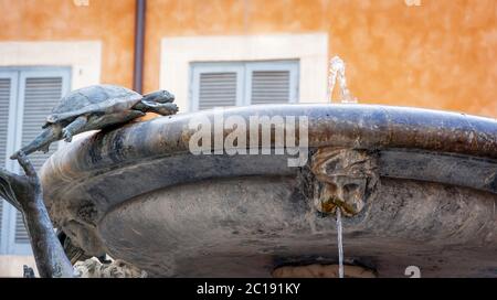 Détail de la célèbre fontaine delle Tartarughe (fontaine de tortues) à Rome Banque D'Images