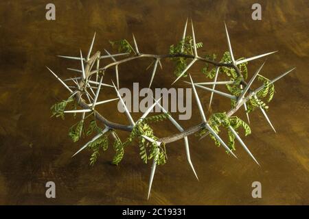 Couronne de branche d'épine naturelle sur fond de grunge brun - image conceptuelle de la crucifixion de Jésus-Christ Banque D'Images