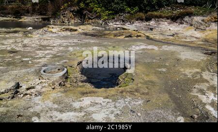 Les champs géothermiques près du lac de Furas, Sao Miguel, Açores, portugal Banque D'Images