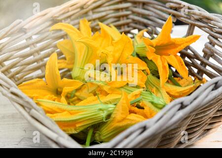 Panier rustique en osier avec fleurs de courgettes orange fraîchement cueillies sur une table de marché en gros plan Banque D'Images