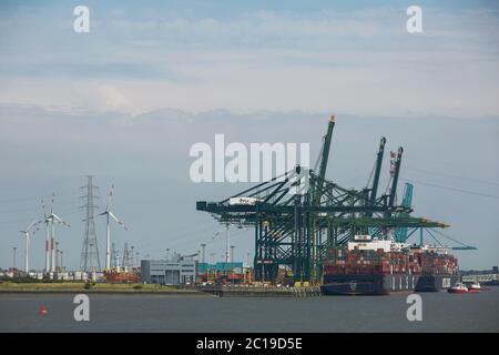 Les grues du port de décharge des conteneurs à partir de navires sur un matin ensoleillé dans le port d'Anvers. Banque D'Images