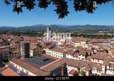 Vue sur les toits de Lucques, ville fortifiée en Toscane, Italie. Vue de la Tour Guinigi Banque D'Images
