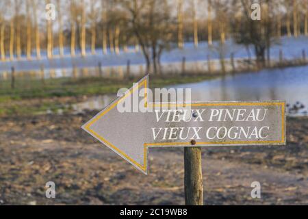 Panneau en bois indiquant l'ancien Cognac et l'alcool du Vieux Pineau (Vieux Pineau vieux Cognac en français) Banque D'Images