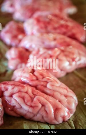 Cerveau animal frais en vente sur un marché au Cambodge Banque D'Images