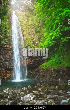 Petite cascade dans la jungle dense de Sumatra Banque D'Images