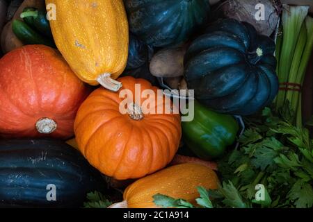 Fruits et légumes frais biologiques Ritur immédiatement les fruits et légumes biologiques. Différents types de citrouilles. Diversité naturelle après récolte. Paquets de feuilles vertes fraîches. Différents types de citrouilles. Diversité de la nature. Bananes, fenouil, oignons, concombres, tomates, tomates cerises. Oignons, betteraves, pommes de terre, pêches, bok choy, fraises, fraises pakistanaises, purée, poire, pomme, fenouil, céleri, poivrons de toutes sortes. Banque D'Images