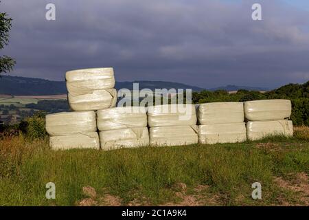 Balles d'ensilage,champ agricole, agriculture, balle, image couleur, Cornwall - Angleterre, récolte - plante, ferme, alimentation, nourriture, herbe, récolte, foin, Banque D'Images