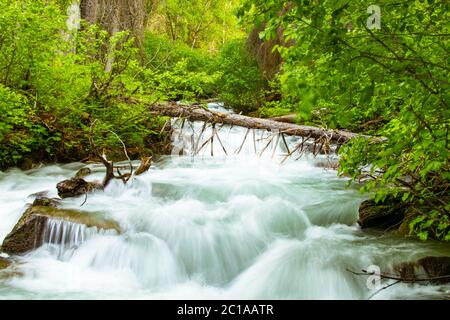 La rivière Eagle de South Fork descend en cascade dans la vallée Banque D'Images