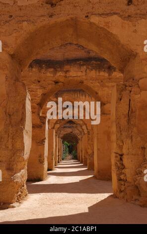 Les arches médiévales ruinées des immenses écuries royales Heri es-Souani et des greniers de Moulay Ismail dans la ville impériale de Meknes, au Maroc. Banque D'Images