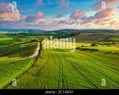 Coucher de soleil coloré en Toscane. Pittoresque agrotourisme et typique route courbe avec cyprès, paysage en Toscane, Italie, Europe Banque D'Images