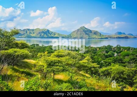 Green jungle luxuriante montagne paysage côtier de Komodo Banque D'Images