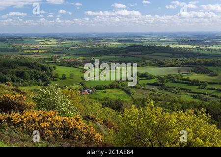 Vue depuis Sutton Bank dans le parc national des Moors de North York, vue sur la vallée de Mowbray, près de Thirsk, North Yorkshire, Angleterre, Royaume-Uni Banque D'Images