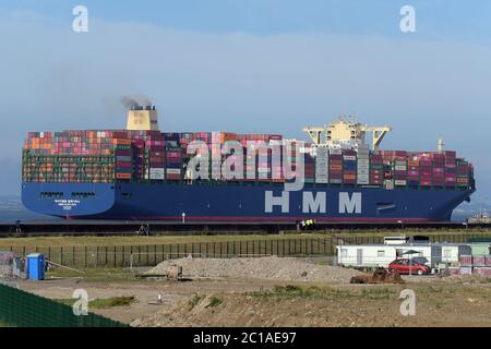 HMM Algeciras, le plus grand navire à conteneurs de la planète, et le plus grand navire à jamais naviguant sur la Tamise, a amarré à la passerelle Thames à Stanford-le-Hop Banque D'Images