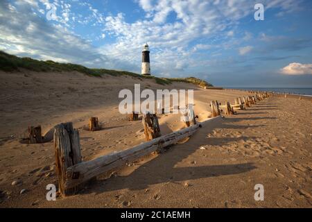 Jetée en bois en décomposition et le phare Old Dsjn point sur Djjn Head, près de Kingston upon Hull, East Riding of Yorkshire, Angleterre, Royaume-Uni, EUR Banque D'Images