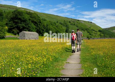 Marcheurs parmi les prairies remplies de Buttercup dans la vallée de Swaledale, Muker, Yorkshire Dales National Park, North Yorkshire, Angleterre, Royaume-Uni, Europe Banque D'Images