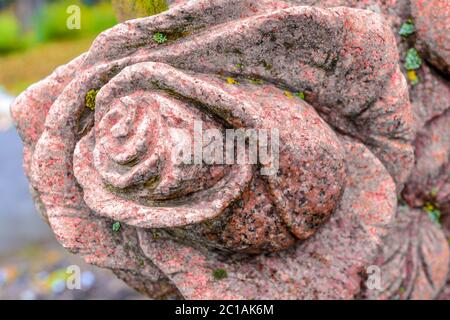 Vieux mousse recouvert de relief de pierre de bourgeon de rose de granit rouge. Partie de la tombe dans le cimetière public de la rose de pierre avec de la mousse verte Banque D'Images