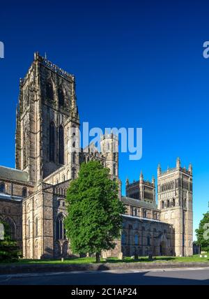 Vue en début de matinée sur la cathédrale de Durham en été depuis Palace Green, Durham City, comté de Durham, angleterre, Royaume-Uni Banque D'Images