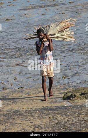 Ouvrier portant des feuilles de palmier pour la couverture traditionnelle de chaume sur la plage, village d'Ampangorinana, île de Nosy Komba, Madagascar. Banque D'Images