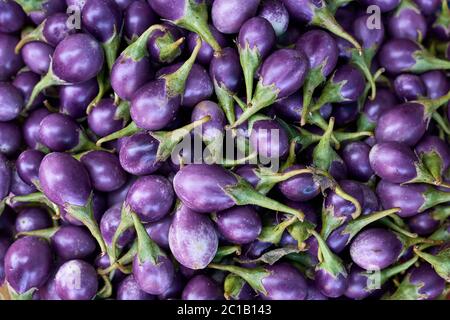 Beaucoup d'aubergines mûres Banque D'Images