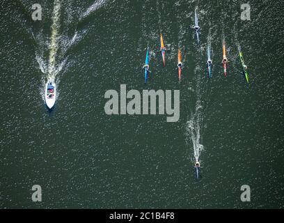 Photo aérienne, pagayage d'entraînement, bateau d'entraîneur, entraînement de compétition, canotage sur le lac Baldeney, Essen, région de la Ruhr, Rhénanie-du-Nord-Westphalie, Allemagne, bateau Banque D'Images