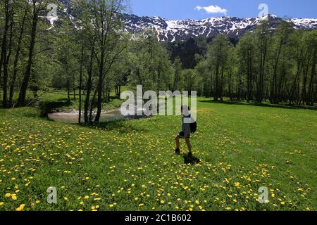 fille marchant sur les alpes de prairie de fleurs Banque D'Images