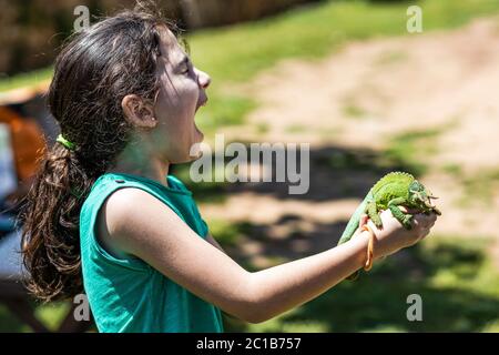 Petite fille avec une caméléon sur ses mains. Concentrez-vous sur l'animal Banque D'Images