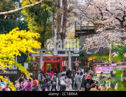 ueno, japon - mars 31 2020: Touristes marchant à travers les portes de Torii du sanctuaire Hanazono Inari dédié à la divinité du renard dans le temple Kanei o Banque D'Images