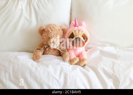 Gros plan de deux teddies dans le lit, avec du linge blanc, dans une chambre lumineuse et aérée Banque D'Images