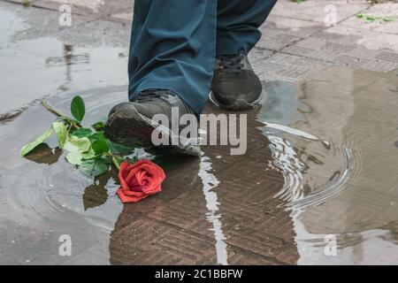 Un passant passe par inadvertance marche sur une rose jetée dans une flaque sale Banque D'Images
