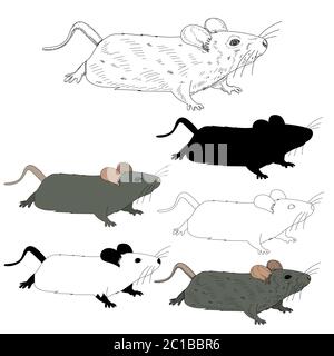 fond blanc, rat, souris, ensemble avec silhouette et esquisse Illustration de Vecteur