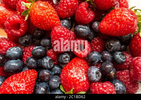 Vue rapprochée des fruits d'été, fraises, framboises et bleuets. Banque D'Images