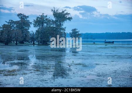 Etats-Unis, Louisiane, Jefferson Parish, Lafayette, Lac Martin à l'aube Banque D'Images