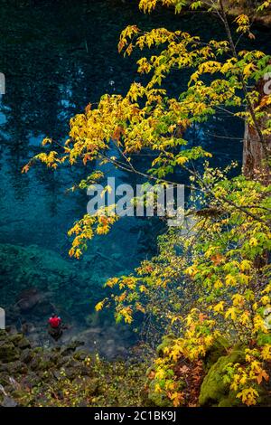 États-Unis, Oregon, Willamette National Forest, Blue Pool sur la rivière McKenzie, Tamolitch Pool, Banque D'Images