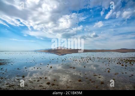 États-Unis, Utah, Comté de Davis, Parc d'état d'Antelope Island, Banque D'Images