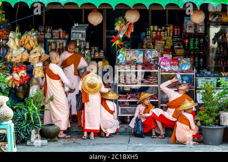 Un groupe de Thilashin (novice Nuns) collectant des dons, Yangon, Myanmar. Banque D'Images