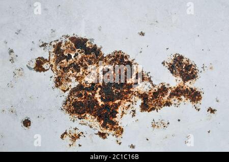 Une tache rouillée sur une surface métallique peinte. Corrosion du métal. Banque D'Images